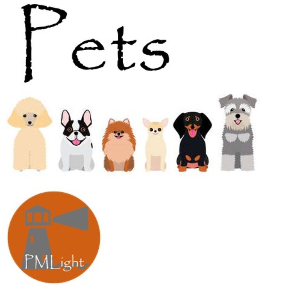 Pets @ pmlight - Picture 1 of 1